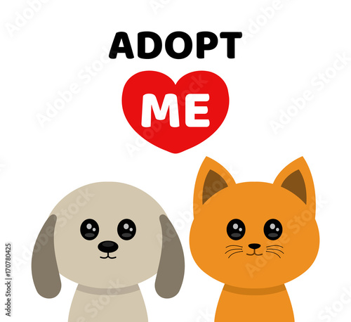 Adopt me. Dont buy. Dog Cat Pet adoption.