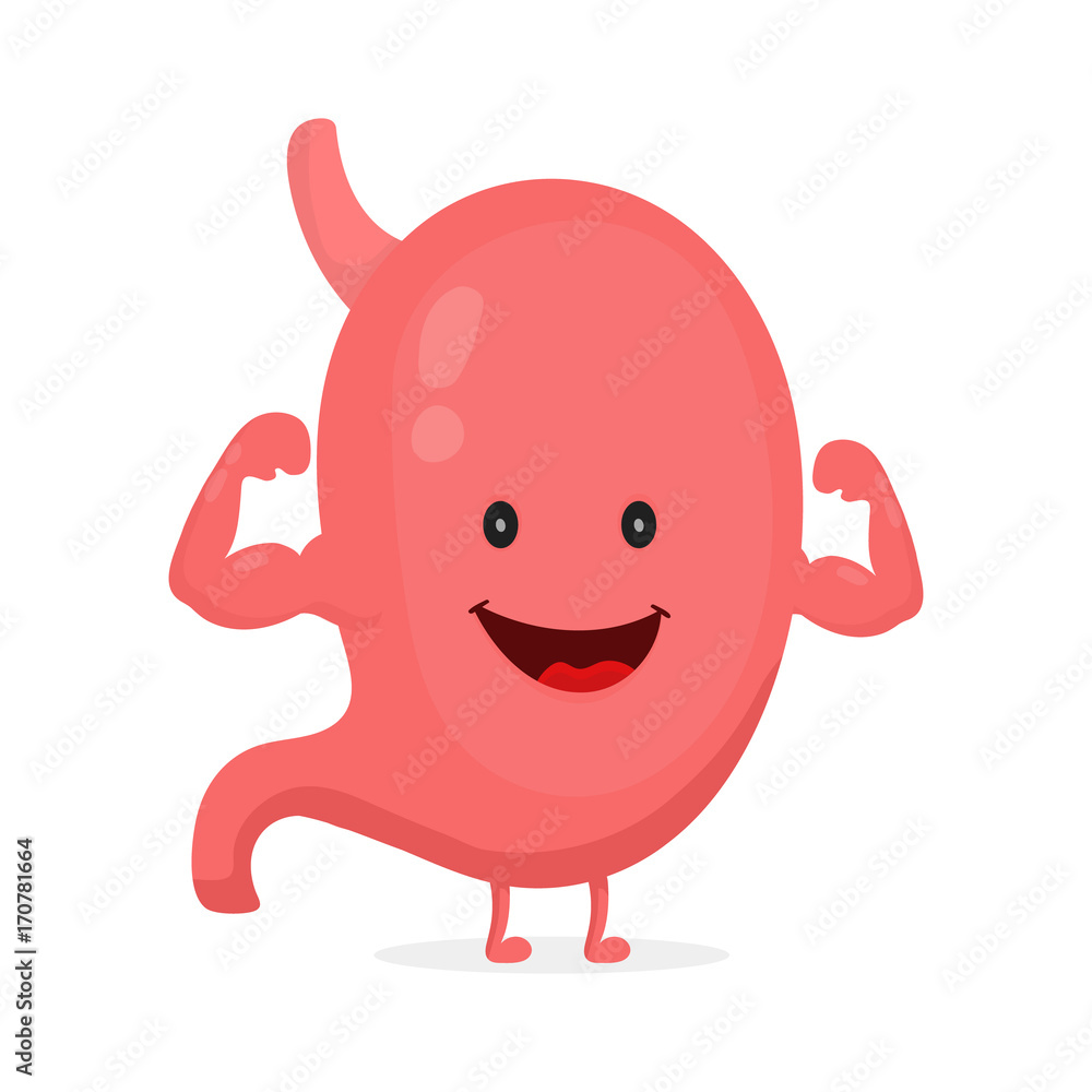 Strong healthy happy stomach character Strong healthy happy stomach character