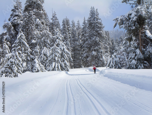 Ski trail © Sarah Jane