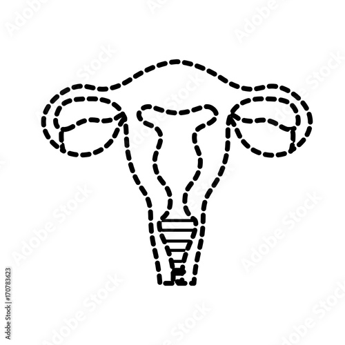 dotted shape fallopian tubes with uterus to human anatomy vector illustration