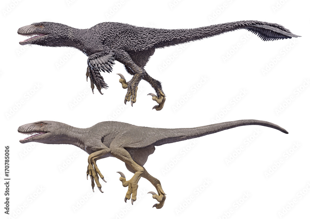 3D rendering of a Dakotaraptor with and without feathers, isolated on a white background.