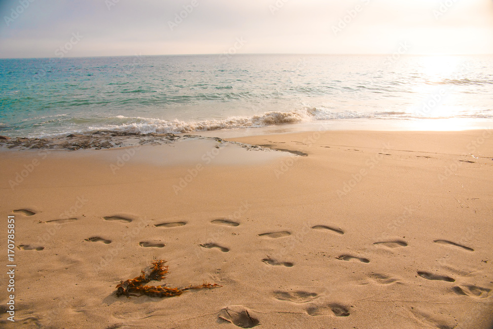 Footprints in the sand at the beach Footprints in the sand at the beach