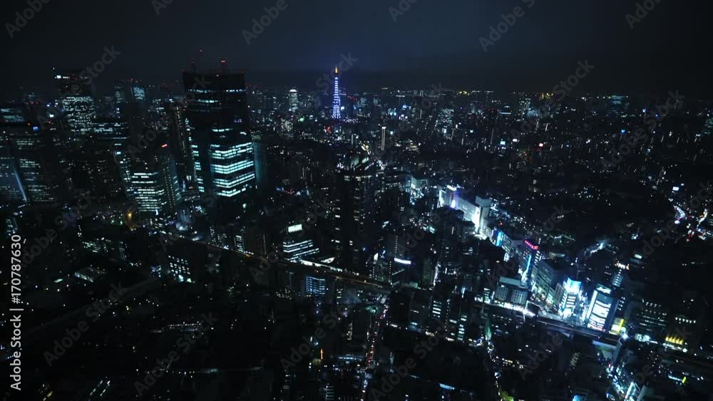 Tokyo skyline at night