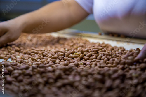 peanut process industry brazil
