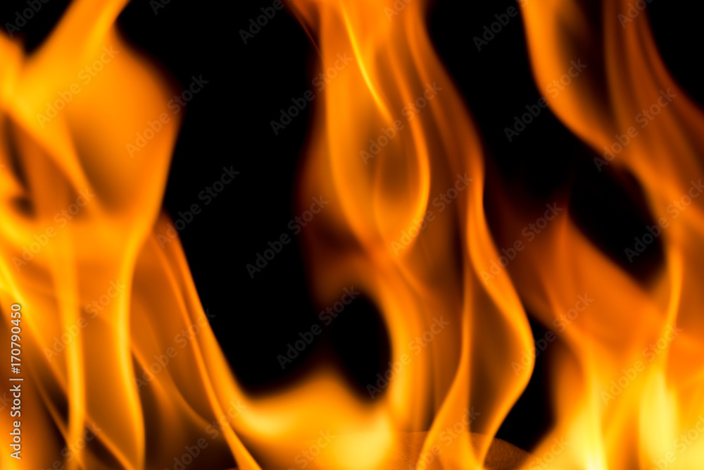 Burning fire on black background. Burning fire on black background.