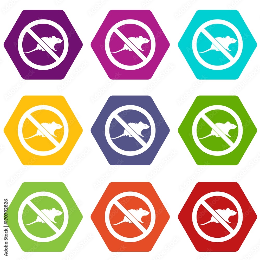 No rats sign icon set color hexahedron No rats sign icon set color hexahedron