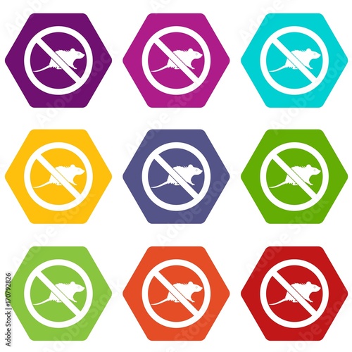 No rats sign icon set color hexahedron