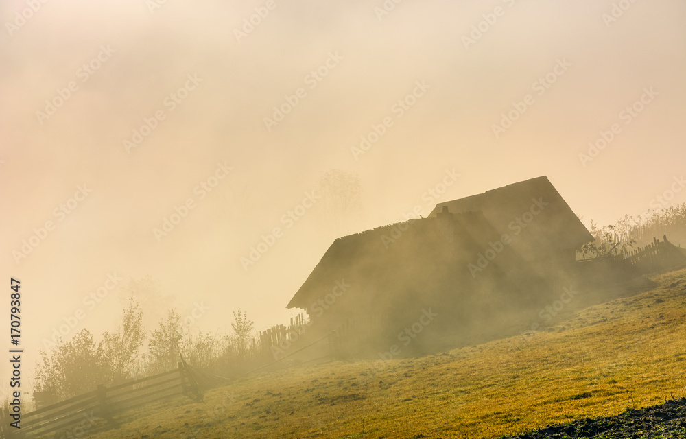 gorgeous autumnal countryside scenery abandoned barn on hillside in sick fog at sunrise
