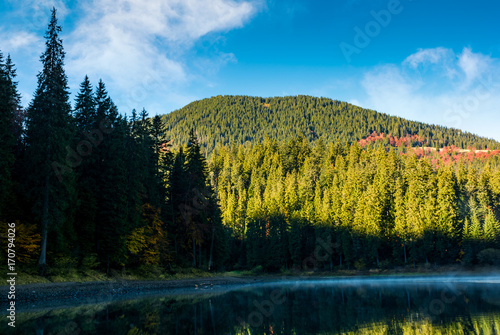 beautiful autumnal landscape with misty morning on the forest lake in mountains