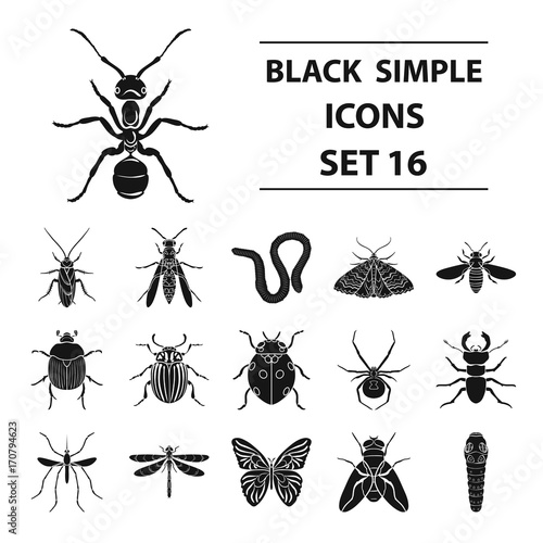 Insects set icons in black style. Big collection of insects vector symbol stock illustration