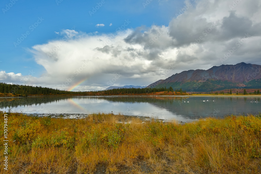 Rainbow over the Lake In Autumn Denali Highway Alaska