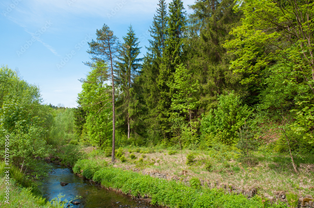Fototapeta premium Innerste river in the Harz mountains in Germany