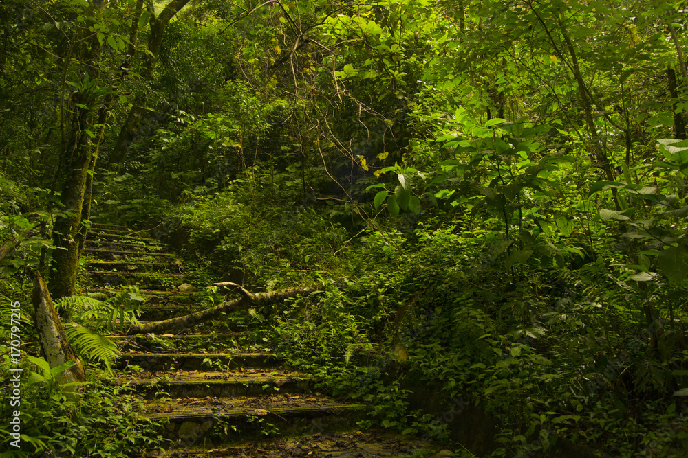 Obraz premium Aventura