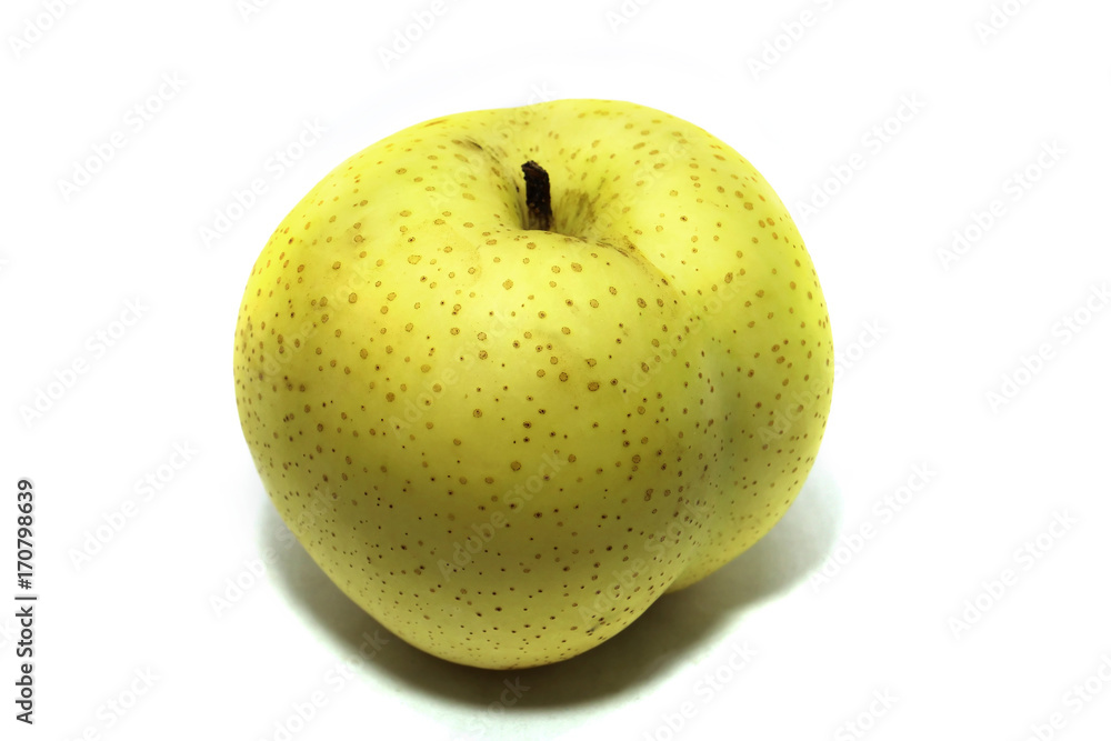 Pyrus pyrifloral on isolated white background Pyrus pyrifloral on isolated white background
