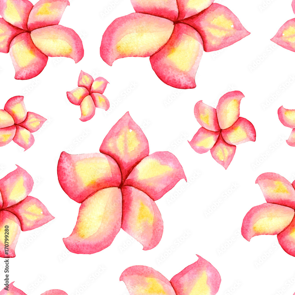 Pattern of delicate pink plumeria flowers on a white background Pattern of delicate pink plumeria flowers on a white background