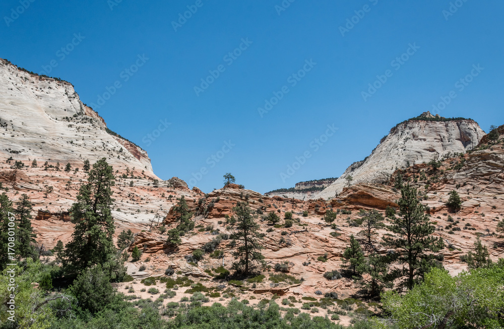 Weathering and erosion of the stone. Zion National Park, Utah, United States Weathering and erosion of the stone. Zion National Park, Utah, United States