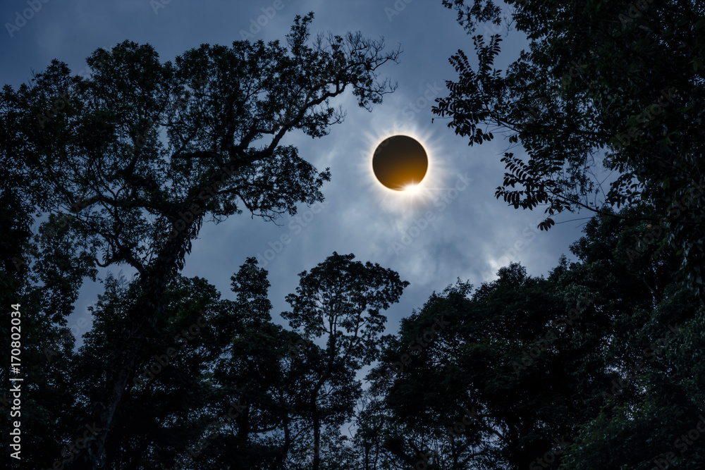 Scientific natural phenomenon. Total solar eclipse with diamond ring effect.