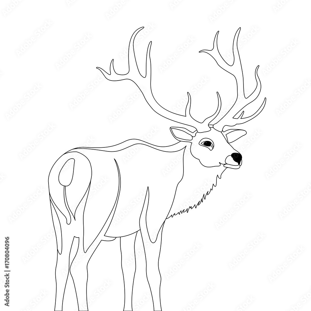Naklejka premium deer vector illustration line drawing 
