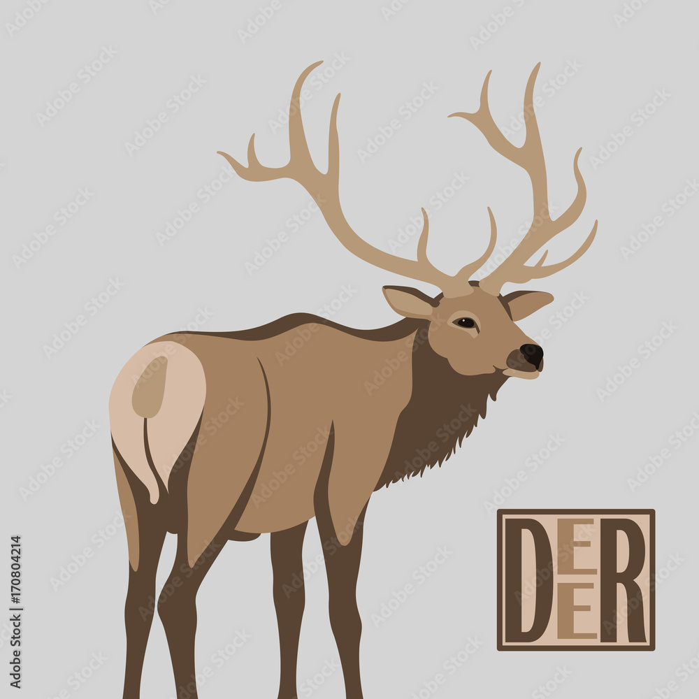 Fototapeta premium deer vector illustration style flat
