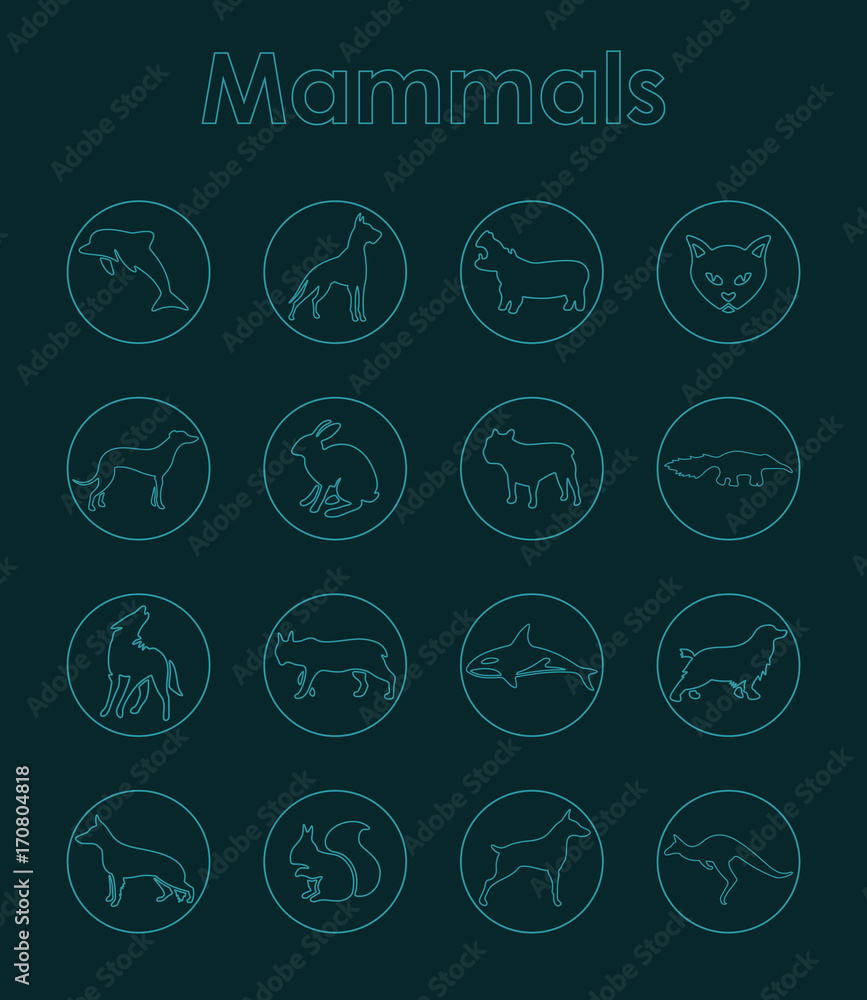 Fototapeta premium Set of mammals simple icons
