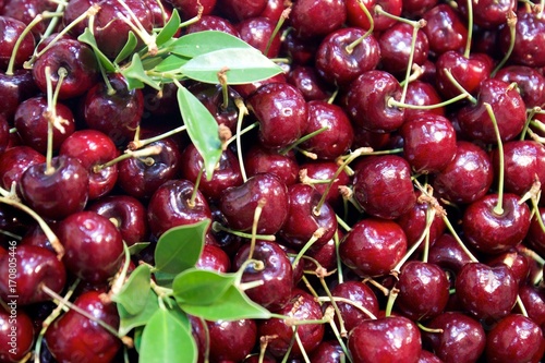 Pipe Cherries background