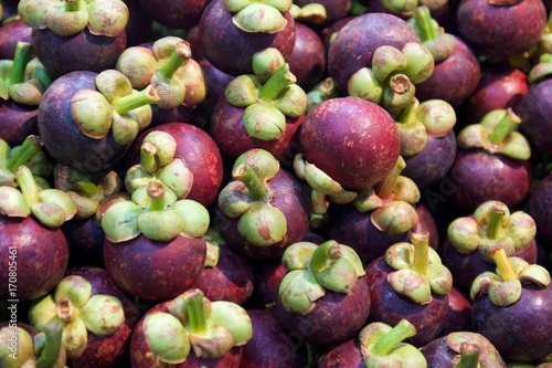 Mangosteen background