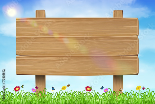 wooden board sign on grass sky background
