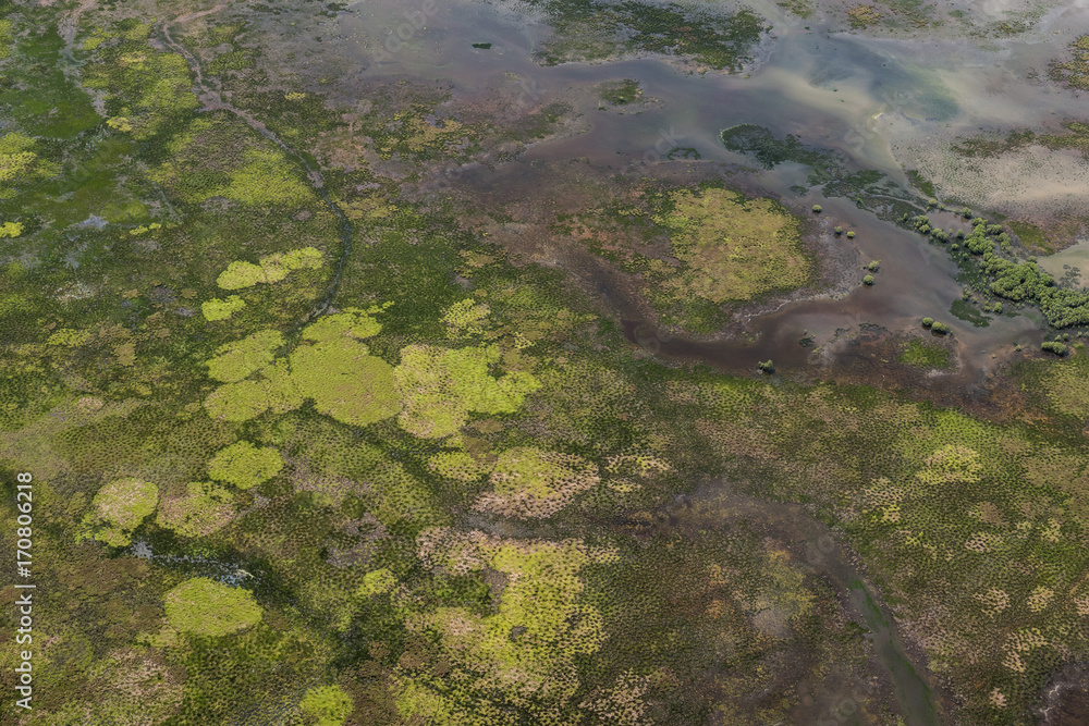 Wet lands near Adelaide River