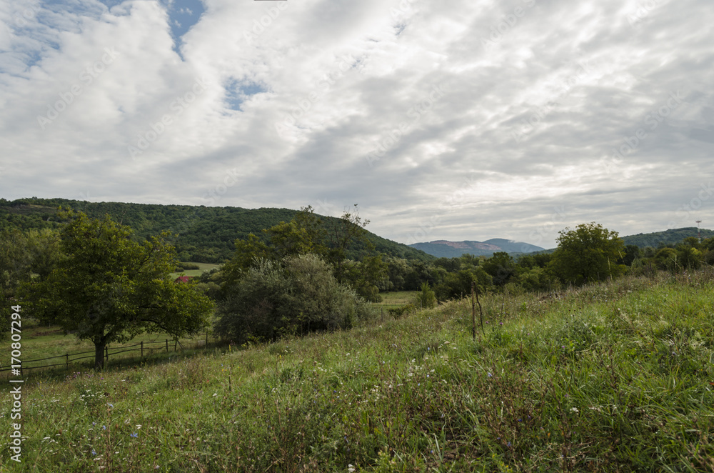 Obraz premium green hungarian landscape in september