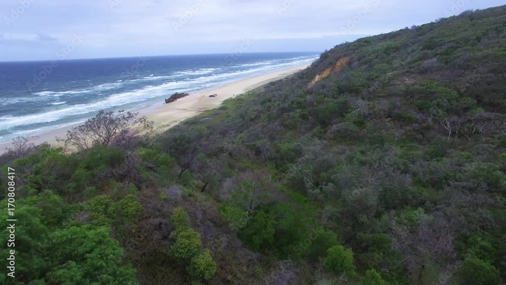 An aerial shot of forest tree and mountains. Shot is also showing ocean and beach An aerial shot of forest tree and mountains. Shot is also showing ocean and beach