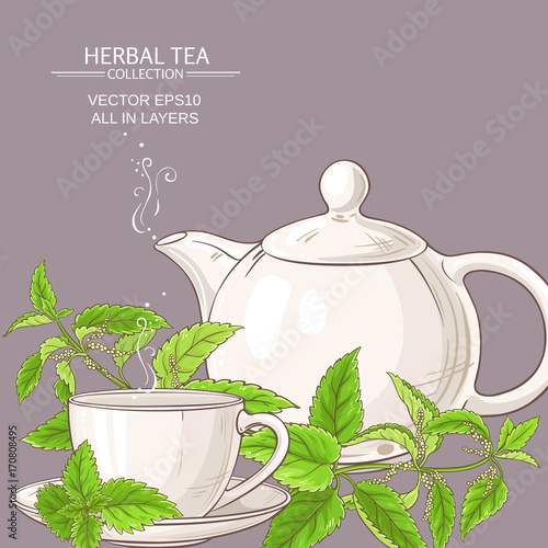 nettle tea illustration