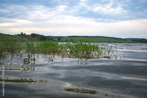 Summer cloudy day on a pond landscape.