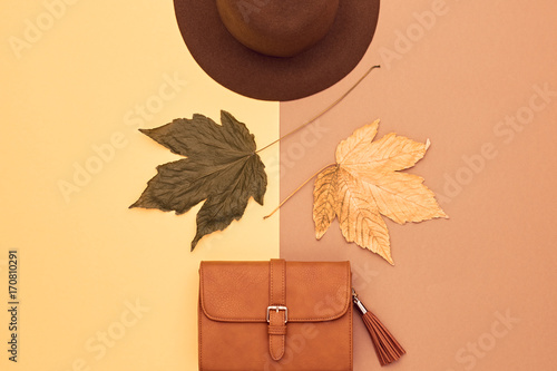 Fall Fashion Glamour Lady Look.Trendy Handbag Clutch. Fashion Stylish Glamour Hat. Fall Leaves. Autumn Minimal. Vanilla Pastel colors. Vintage