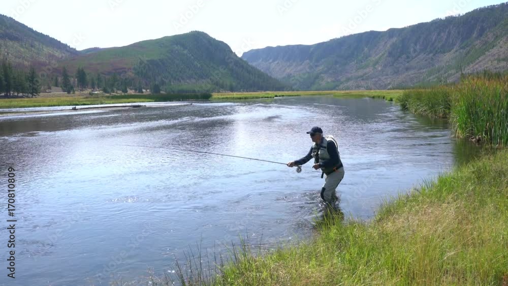 Fly-fisherman fishing in Madison river, Yellowstone Park