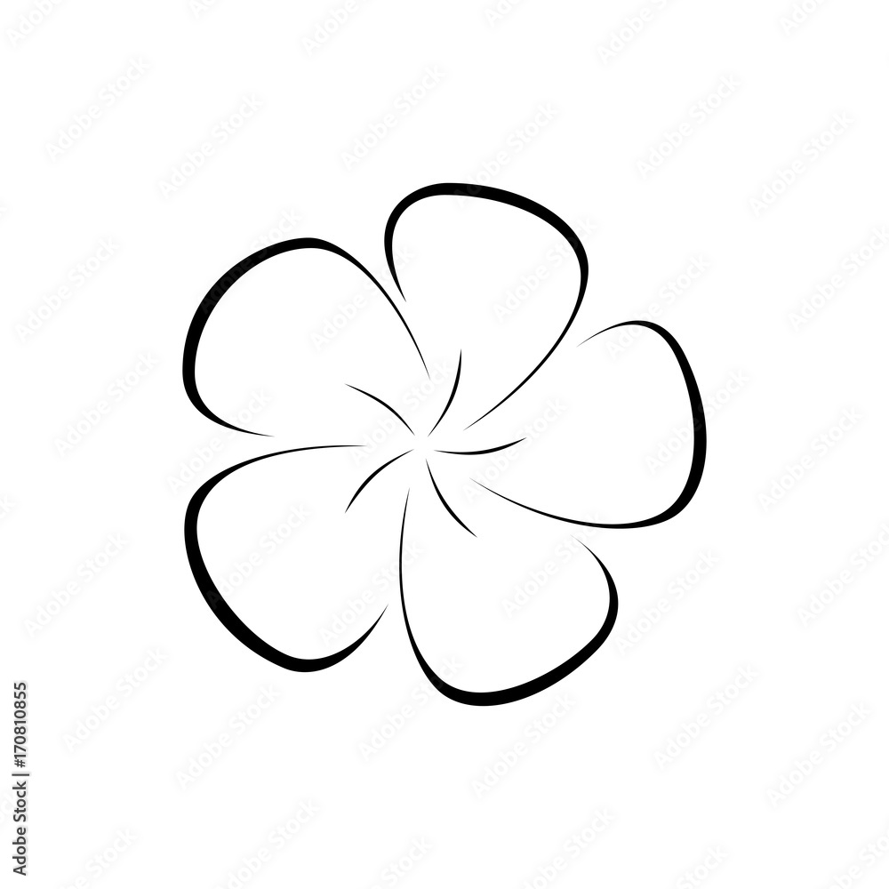 Hand drawn icon of plumeria flower Hand drawn icon of plumeria flower