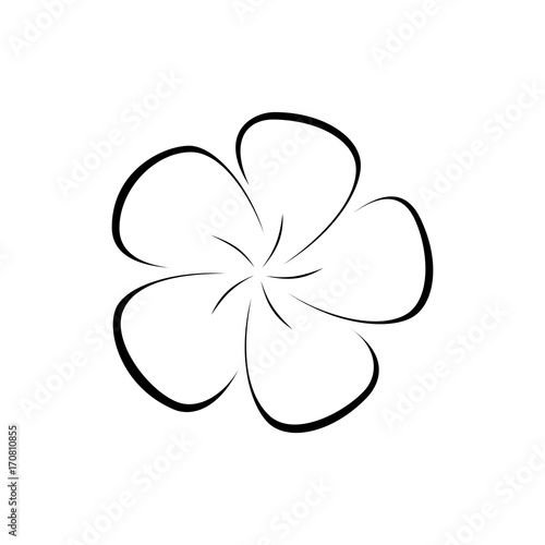 Hand drawn icon of plumeria flower