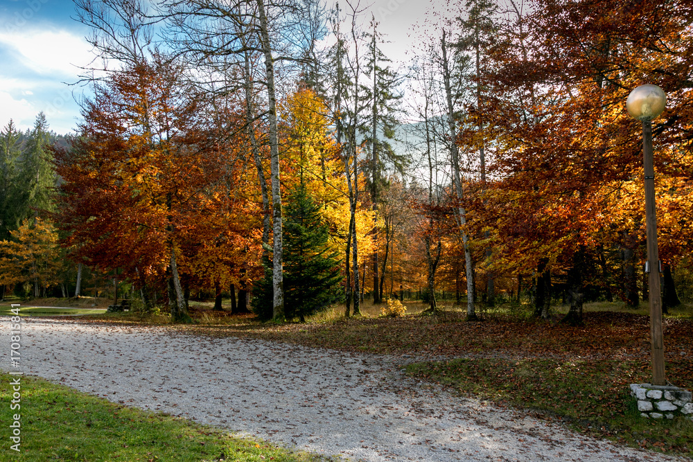 Automne Automne