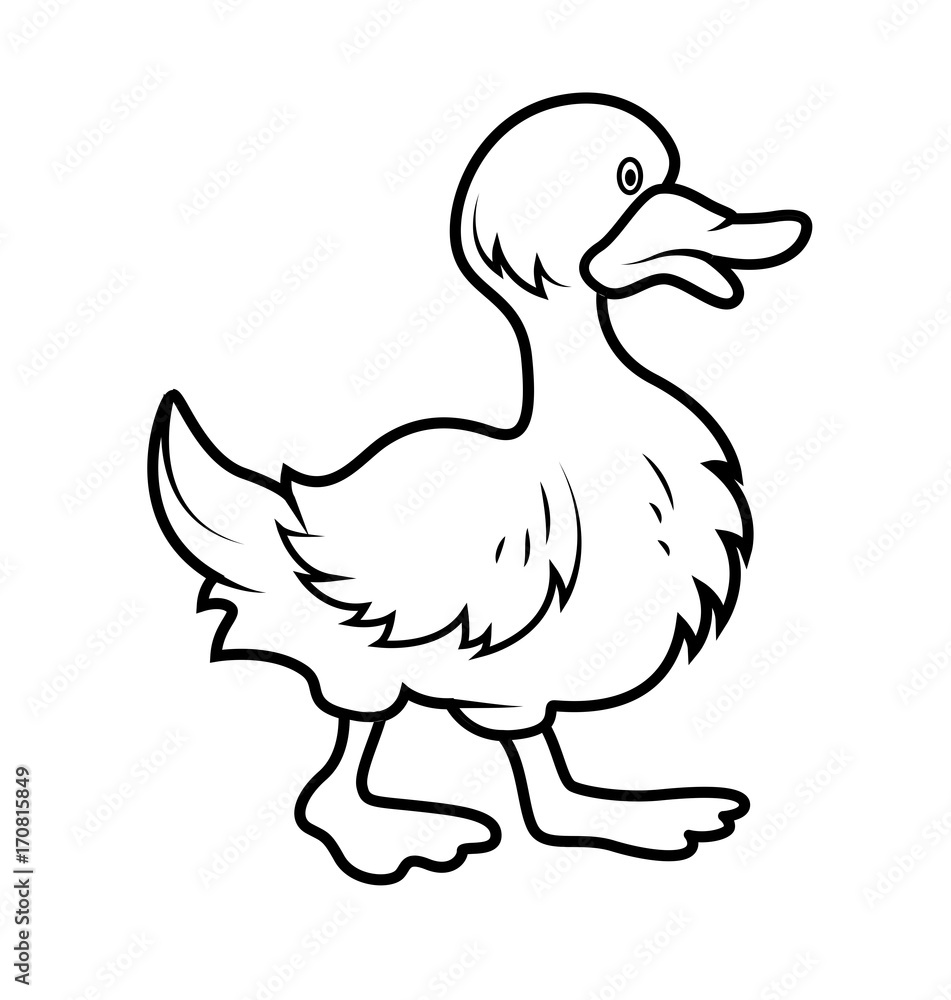 Cartoon Duck Drawing Stock Vector | Adobe Stock