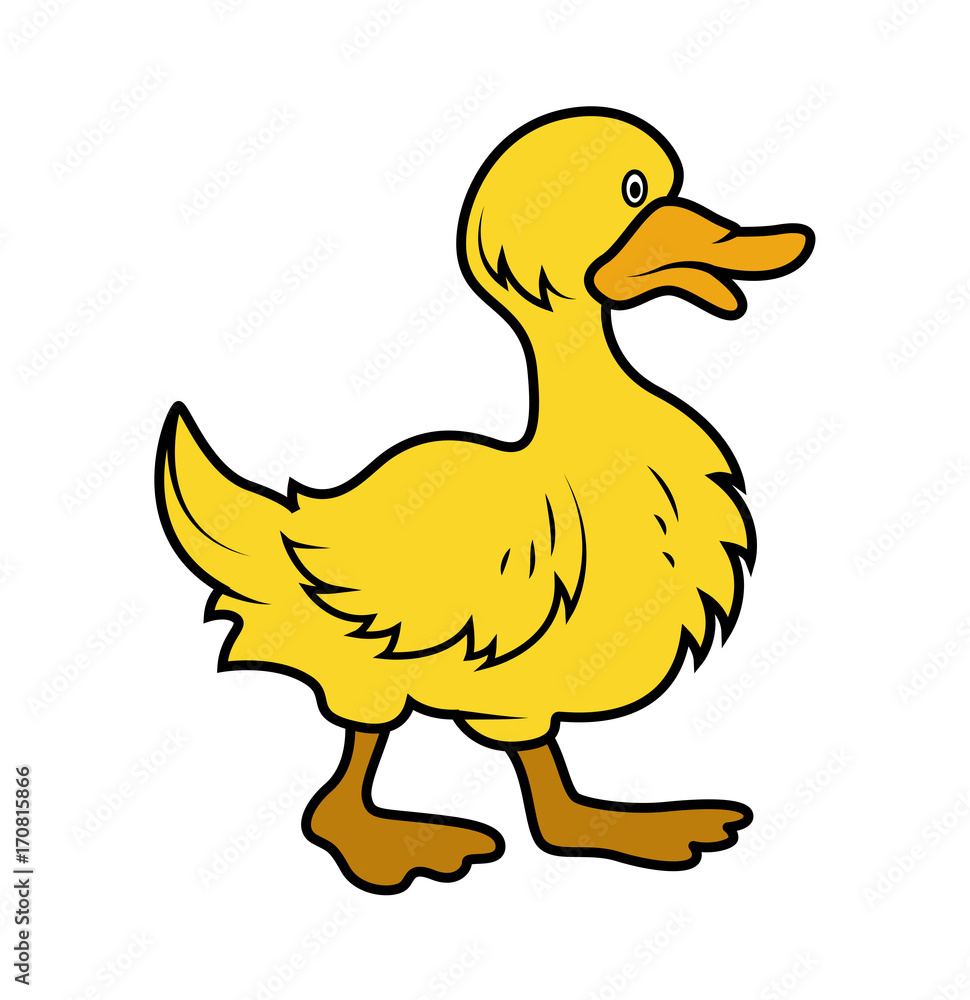 Obraz premium Cartoon Duck