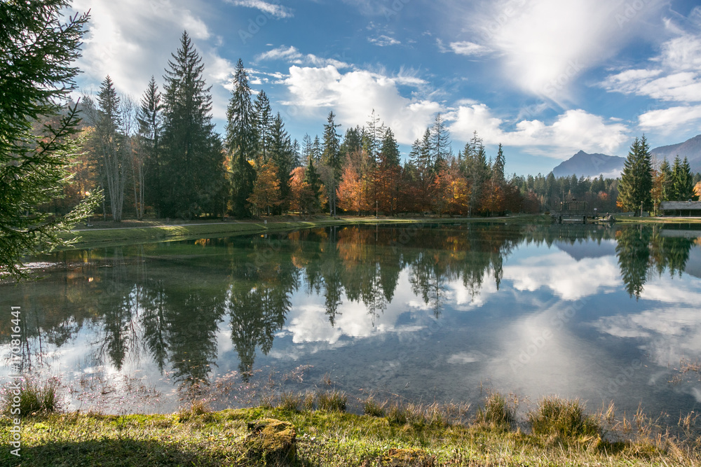 Fototapeta premium Automne