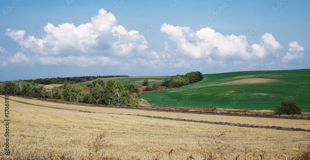 Agricultural fields in countryside