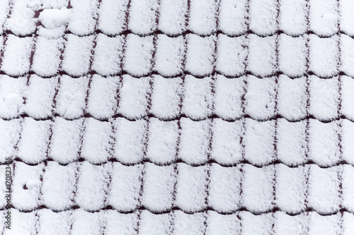 snowy texture