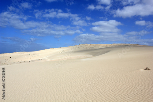 Sandd  ne - Fuerteventura