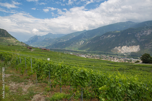 Valais wine region in Switzerland on a summer day