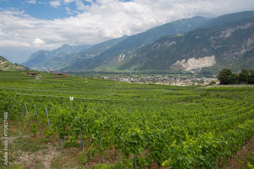 Valais wine region in Switzerland on a summer day