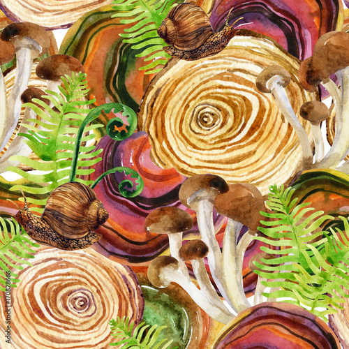 Forest background. Woods stump, mushroom, leaves, lichen and snail