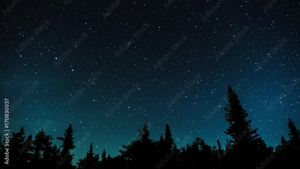 Stars in the night sky against the backdrop of silhouettes of trees