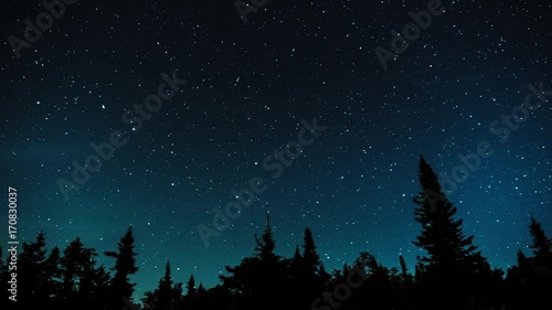 Stars in the night sky against the backdrop of silhouettes of trees
