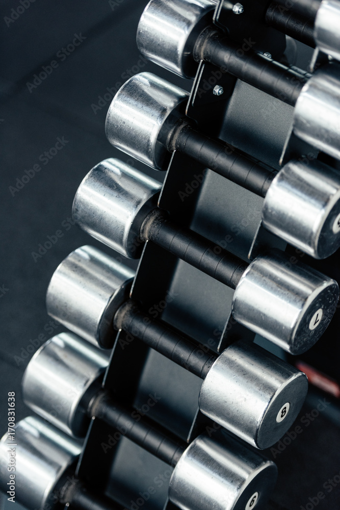 row of dumbbells in gym row of dumbbells in gym