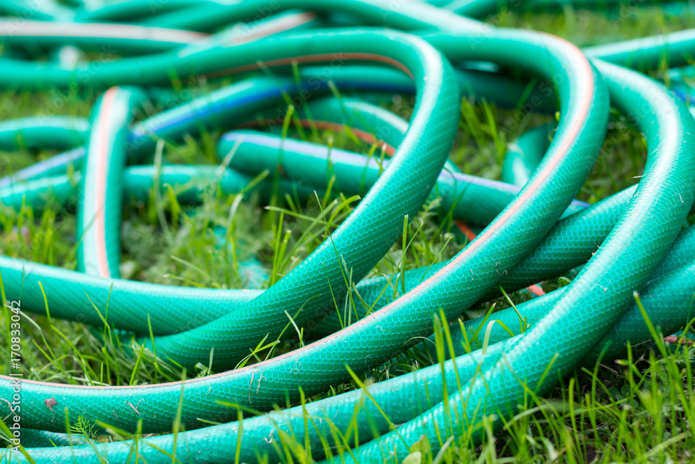 A green and orange hose for watering the garden
